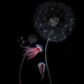 Подводный мир 