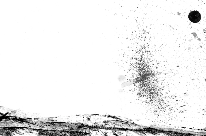 летит сорока над пейзажем