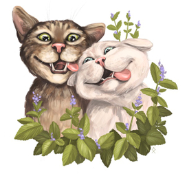 Коты мятная дружба