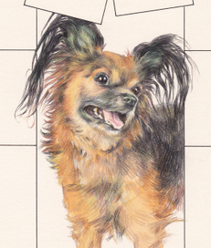 рисунок на обложку