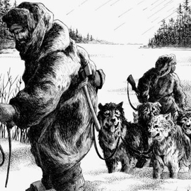Погоня за добычей. Собачья упряжка