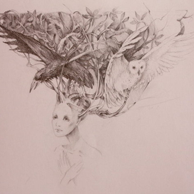 Без назвния...