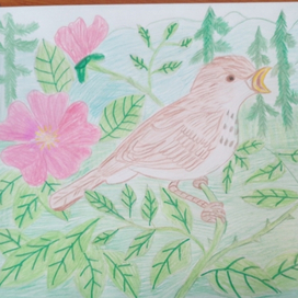 Поющие птицы