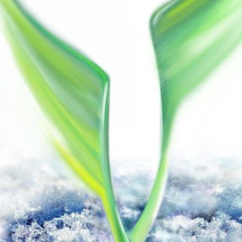 Озимь-душа. (Фрагмент)