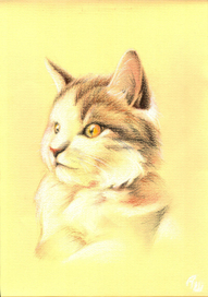 Удивленный