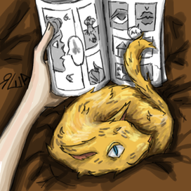 Спокойный вечер