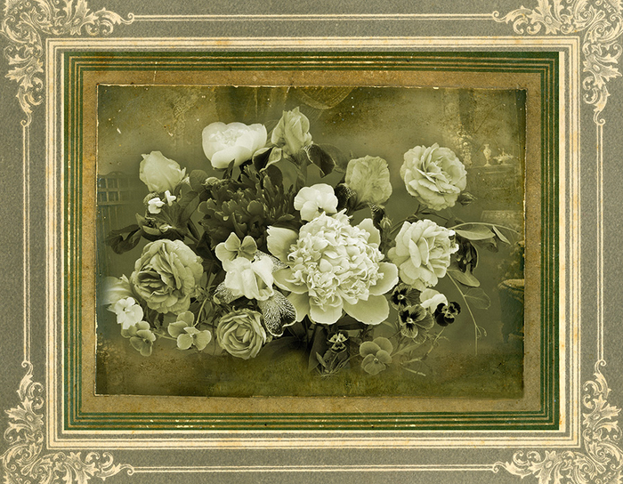 Пионы, розы и ирисы