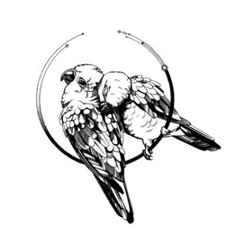 Неразлучники