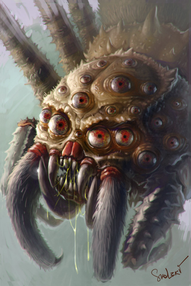 Spider portrait