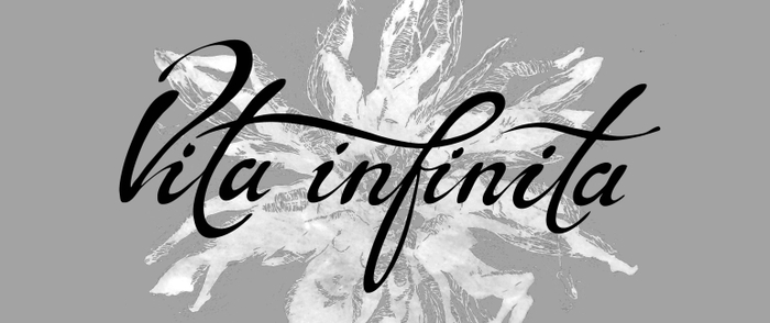 Вита Инфинита