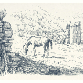 Судак. Лошадь и старая постройка