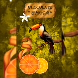 Иллюстрация для шоколада с апельсином. Тукан.