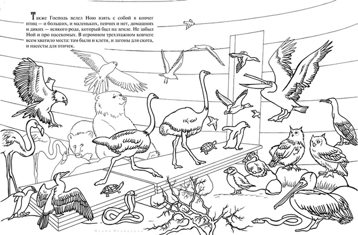 Ноев Ковчег. Познавательная книга-раскраска.