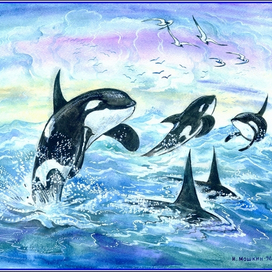Касатки играют, акварель, Акварель, 30х40см., 10000руб.