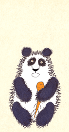 Panda's dream