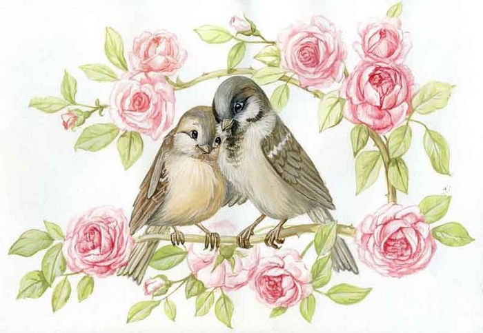 влюбленные воробышки