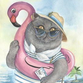 Кот улетает в отпуск