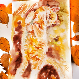 Медовый рыжик