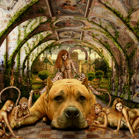 Сила и грация