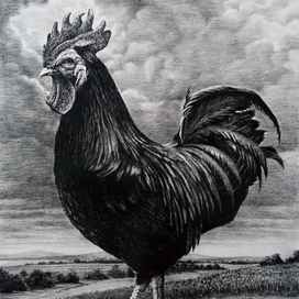 Сельский пейзаж 