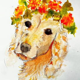 Кокер Рональд