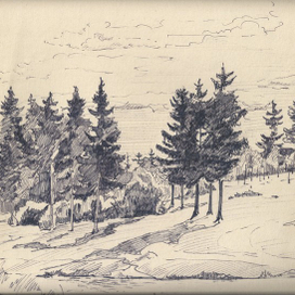 Набросок пейзажа.