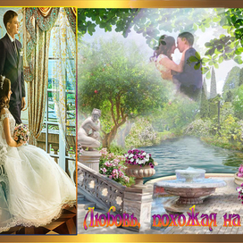 Свадебный альбом
