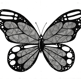 Black butterfly