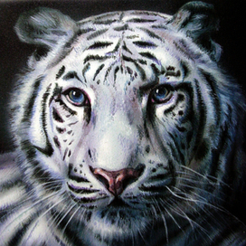 Белый тигр