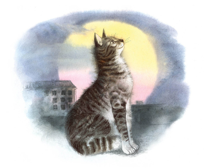 День прошел...