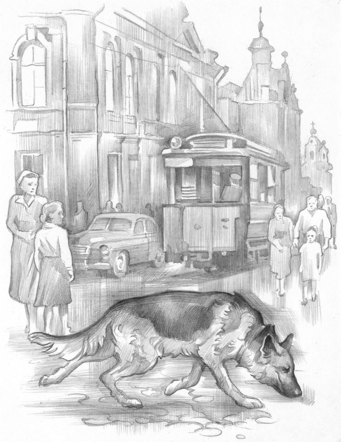 Яранг-Золотой Зуб