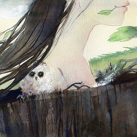 Совенок на дереве.