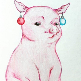 Pig