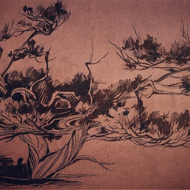 Крымская сосна