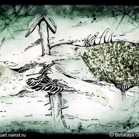 "Рыбы.Салочки"