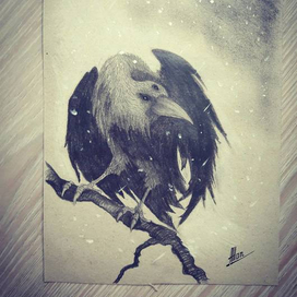 "Трехглазый ворон"