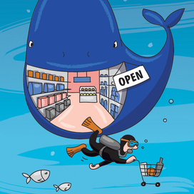 Желудок кита