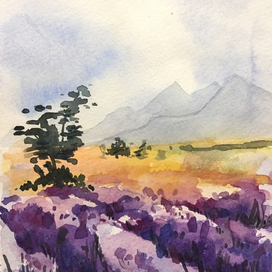 "утро в лаванде"