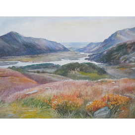 ,,Долина Ирландии.Горные цветы,,