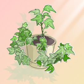 Иллюстрации для открыток