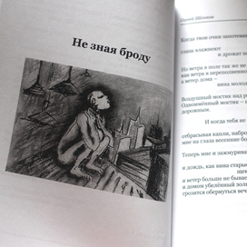 Иллюстрация для книги