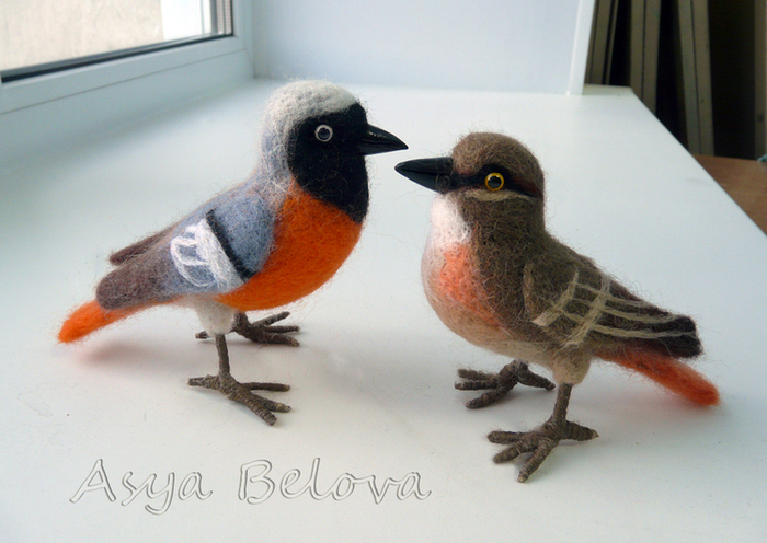 Горихвост нашёл свою горихвостку 