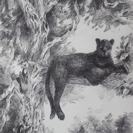 Чёрный ягуар