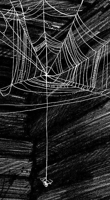 Паучок. Иллюстрации к сборнику стихов о тайге. 