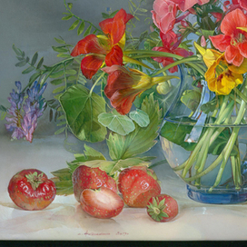 Настурции и клубника