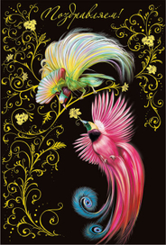 Райские птицы_2