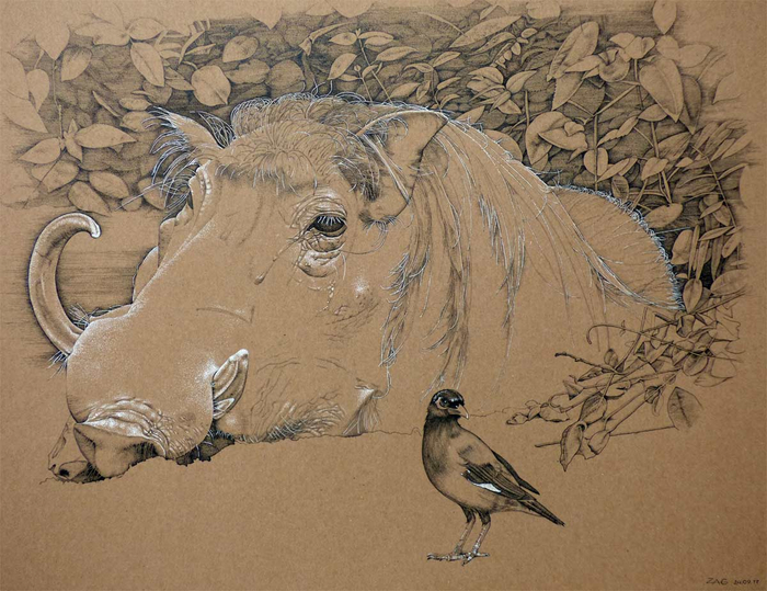 Картинки из зоопарка