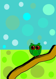 совушка на упаковку