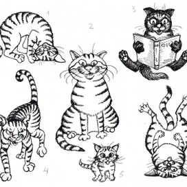 Котофизика 1