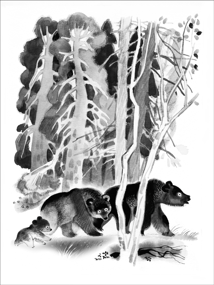 Романовский "Мальчик и две собаки" Детгиз